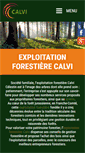 Mobile Screenshot of calvibois.com